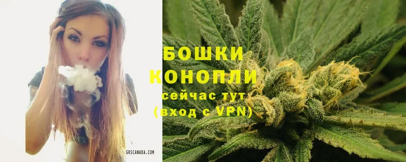 Конопля SATIVA & INDICA  Мамадыш 